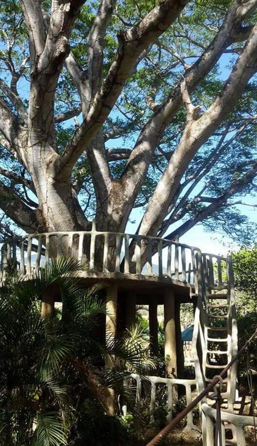 Hôtel Termales El Guayacan à Bagaces Extérieur photo